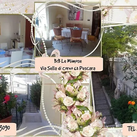 Le Mimose-2